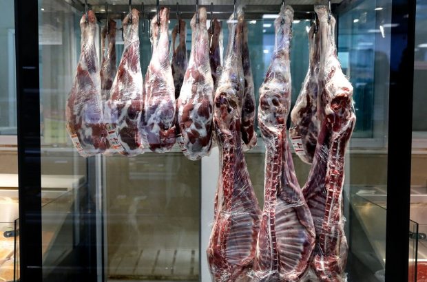 قائم‌مقام وزیر جهاد کشاورزی مطرح کرد؛ روند کاهش قیمت گوشت گوسفندی با اقدامات تنظیم بازاری دولت