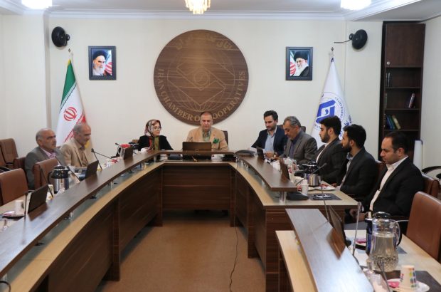 کمیسیونهای آموزش، آمار شرکتهای SME استانی را اعلام کنند کمیسیونهای آموزش، آمار شرکتهای SME استانی را اعلام کنند