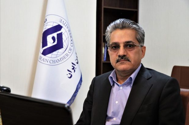 تحقق مردمی‌سازی اقتصاد در گرو رونق تعاونی‌های غیر‌سنتی
