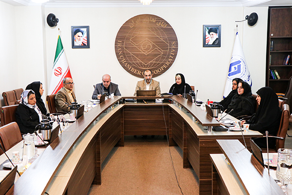 ضرورت توجه ویژه به مطالبات تعاونگران حوزه صنایع دستی و فرش دستباف ضرورت توجه ویژه به مطالبات تعاونگران حوزه صنایع دستی و فرش دستباف