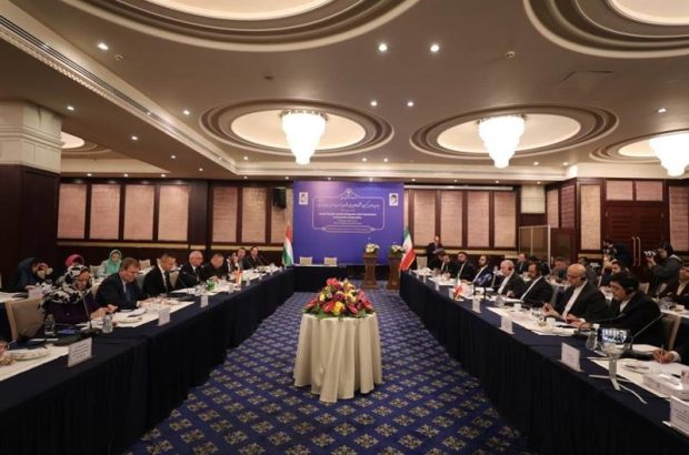 اراده ایران و مجارستان برای توسعه روابط اقتصادی جدی است