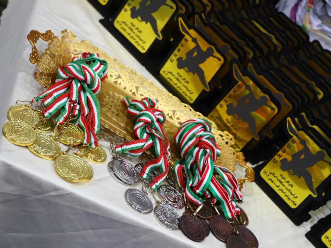 ۱۴۰ دختر تالوکار قمی در خانه ووشوی قم به رقابت پرداختند