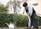 رهبر انقلاب پس از کاشت سه اصله نهال در روز درختکاری : حضور در انتخابات جهاد ملت ایران بود رهبر انقلاب پس از کاشت سه اصله نهال در روز درختکاری : حضور در انتخابات جهاد ملت ایران بود