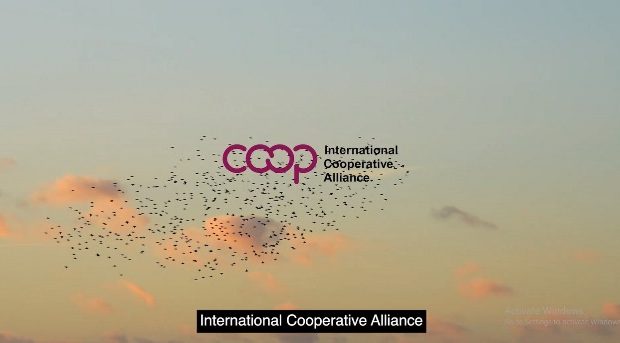 تازه ترین معرفی تعاون در سطح بین الملل به مناسبت سال جهانی تعاون ۲۰۲۵ تازه ترین معرفی تعاون در سطح بین الملل به مناسبت سال جهانی تعاون ۲۰۲۵