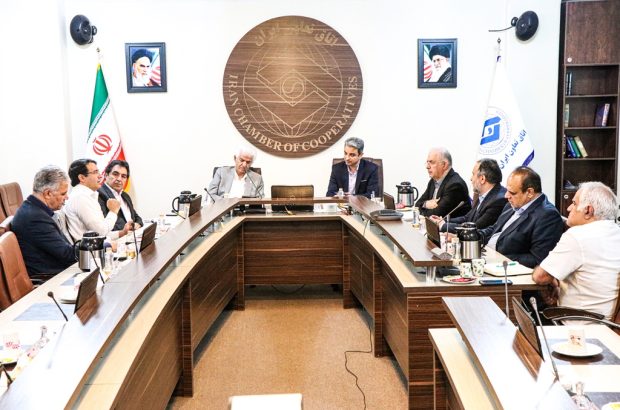 تشکیل کمیسیون‌های تخصصی دبیرخانه هماهنگی تشکل‌های کارفرمایی کشور