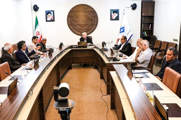 کمیسیون‌های استانی مشکلات حوزه کسب و کار را به کمیسیون پایش و بهبود فضای کسب و کار اتاق تعاون ایران اعلام کنند