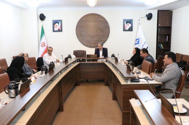 تاکید بر بهره‌مندی از ظرفیت‌های مشترک در اولین جلسه کمیسیون تخصصی روابط کار دبیرخانه هماهنگی تشکل‌های کارفرمایی کشور