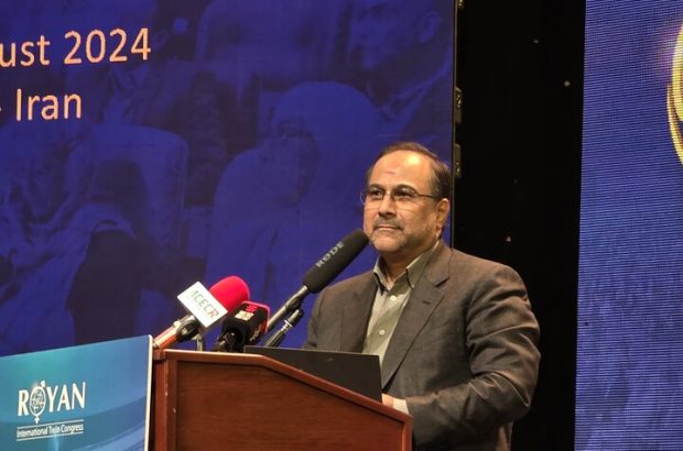 دکتر مخبر دزفولی: به دانشمند نخبه دارای توانمندی حل مسئله نیاز داریم دکتر مخبر دزفولی: به دانشمند نخبه دارای توانمندی حل مسئله نیاز داریم