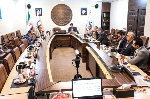 مشارکت شرکتهای تعاونی تولیدی بزرگ مقیاس در ساخت مسکنهای استیجاری ویژه کارکنان مشارکت شرکتهای تعاونی تولیدی بزرگ مقیاس در ساخت مسکنهای استیجاری ویژه کارکنان