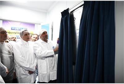 اولین شرط واگذاری در وزارت کار حفظ حقوق و امنیت شغلی کارگران است