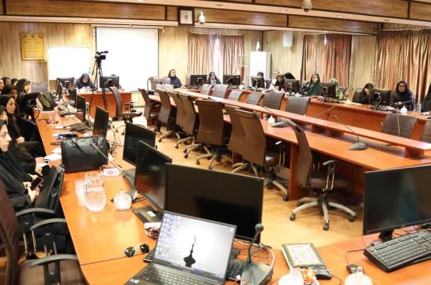 دبیر ستاد راهبردی خانواده و زنان شورای عالی انقلاب فرهنگی: اصل خانواده‌محوری باید در تمام نظامات علمی لحاظ شود