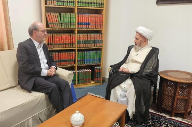 مشاورعالی وزیر فرهنگ با آیتالله سبحانی و آیتالله حسینیبوشهری دیدار کرد مشاورعالی وزیر فرهنگ با آیتالله سبحانی و آیتالله حسینیبوشهری دیدار کرد