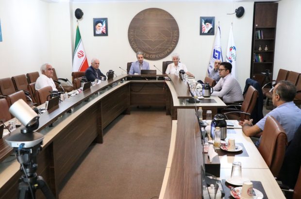 انتزاع دادرسی بیمه‌ای و مالیات در اتاق تعاون ایران بررسی شد