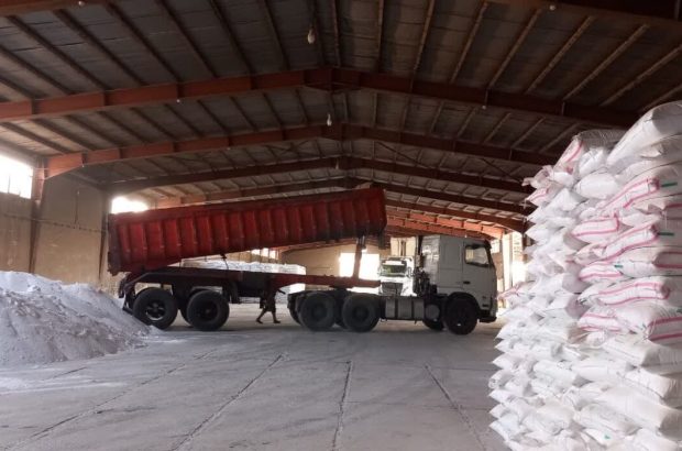 عبور از مرز ۶ هزار تن در سال ۱۴۰۴ عبور از مرز ۶ هزار تن در سال ۱۴۰۴