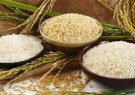 توزیع گسترده برنج ۵۶ تا ۷۰ هزار تومانی آغاز شد