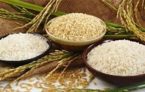 توزیع گسترده برنج ۵۶ تا ۷۰ هزار تومانی آغاز شد توزیع گسترده برنج ۵۶ تا ۷۰ هزار تومانی آغاز شد