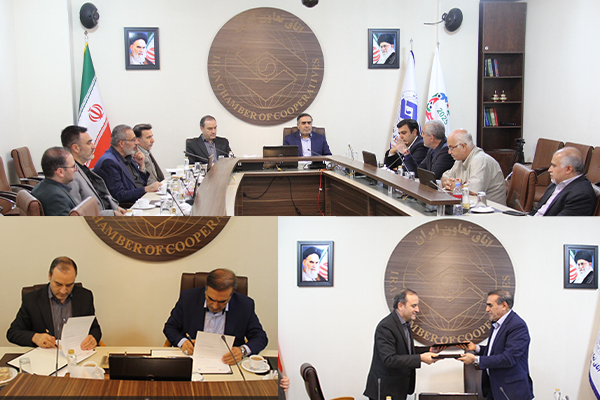 تفاهم نامه همکاری مشترک اتاق تعاون ایران و بنیاد تعاون ودجا امضا شد