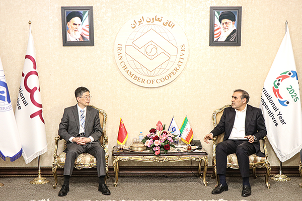 ایران و چین بر تشکیل کمیته مشترک تعاونی و توسعه همکاریهای اقتصادی تأکید کردند ایران و چین بر تشکیل کمیته مشترک تعاونی و توسعه همکاریهای اقتصادی تأکید کردند