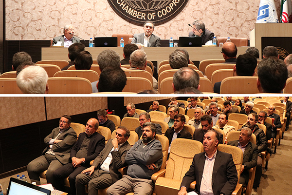 استفاده از ظرفیت تعاونیهای مرزنشینان در واردات کالاهای اساسی استفاده از ظرفیت تعاونیهای مرزنشینان در واردات کالاهای اساسی