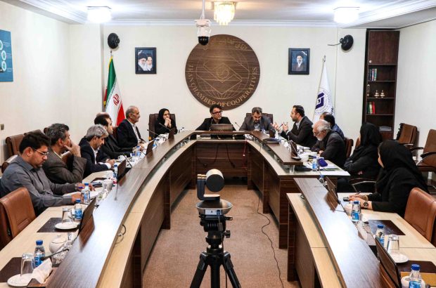 تأکید بر نقش راهبردی بخش تعاون در مدیریت تجارت کشور در شرایط ویژه